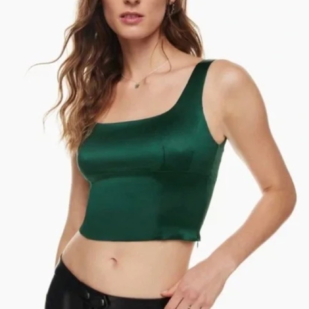 Aritzia Wilfred Shine Bustier